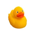 Squeaky duck FullGadgets.com