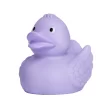Squeaky duck FullGadgets.com