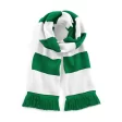 Stadium Scarf FullGadgets.com