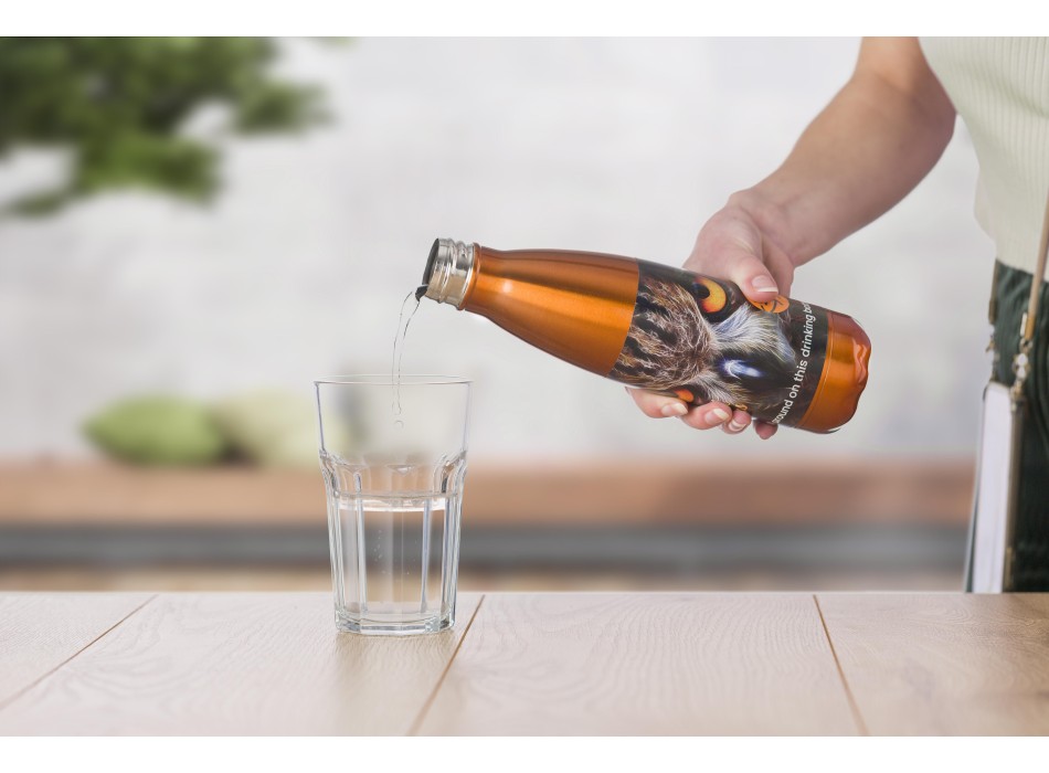 Stainless steel bottle (650 ml) Sumatra FullGadgets.com