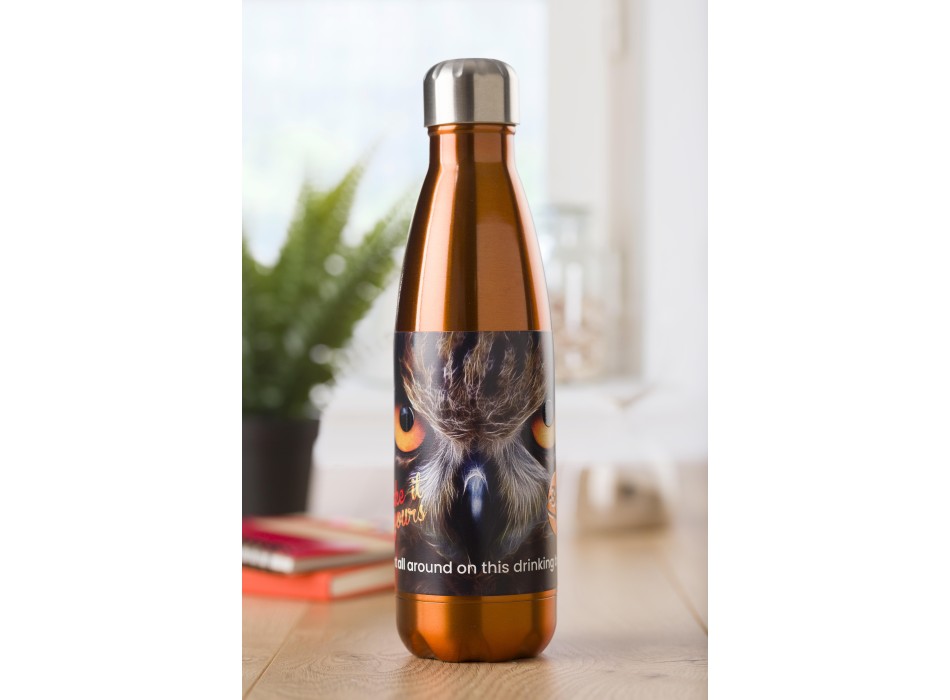 Stainless steel bottle (650 ml) Sumatra FullGadgets.com