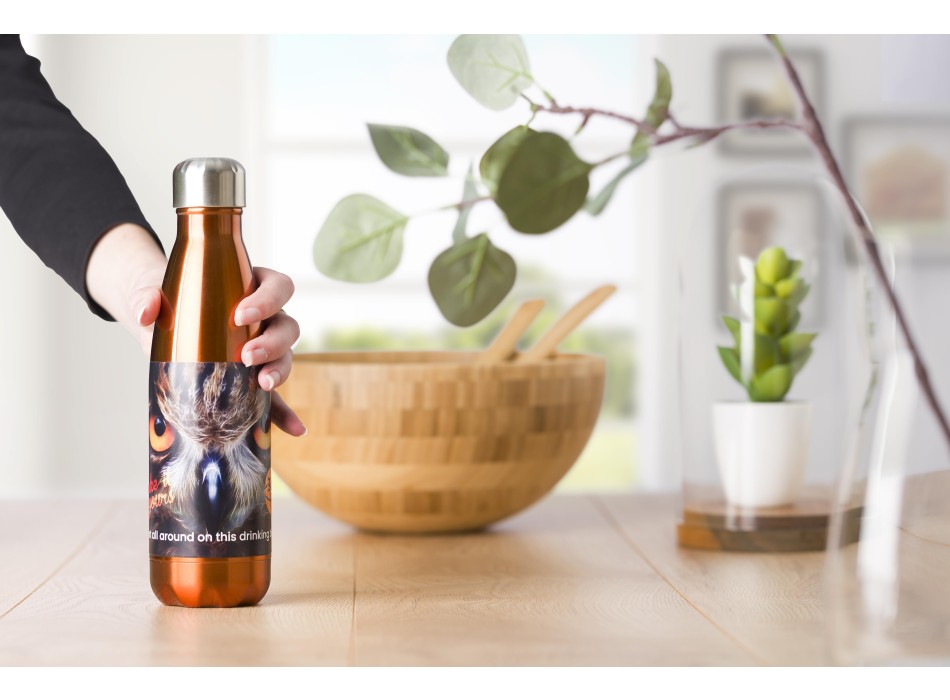 Stainless steel bottle (650 ml) Sumatra FullGadgets.com