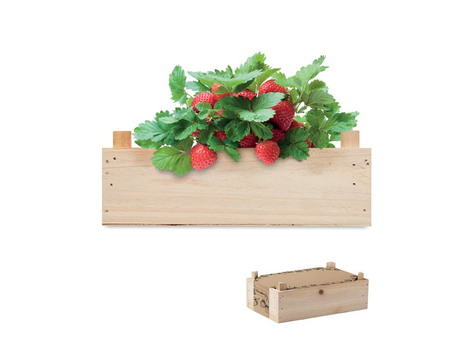 STRAWBERRY - Kit per coltivare fragole FullGadgets.com