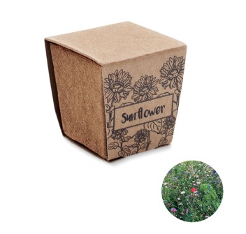 SUNFLOWER KIT - Kit per la coltivazione di semi FullGadgets.com