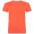 T-shirt a maniche corte da uomo Beagle