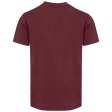 T-shirt a maniche corte unisex con scollo a V in cotone biologico certificato OCS da 200 g/m² Balfour FullGadgets.com