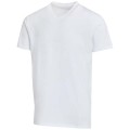 T-shirt a maniche corte unisex con scollo a V in cotone biologico certificato OCS da 200 g/m² Balfour