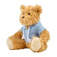 Teddy bear Monty FullGadgets.com