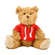 Teddy bear Monty FullGadgets.com