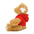 Teddy bear Monty FullGadgets.com