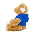 Teddy bear Monty FullGadgets.com
