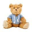Teddy bear Monty FullGadgets.com