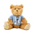Teddy bear Monty FullGadgets.com