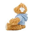 Teddy bear Monty FullGadgets.com