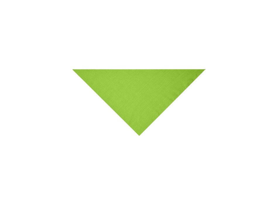 Triangular Scarf FullGadgets.com