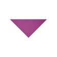 Triangular Scarf FullGadgets.com