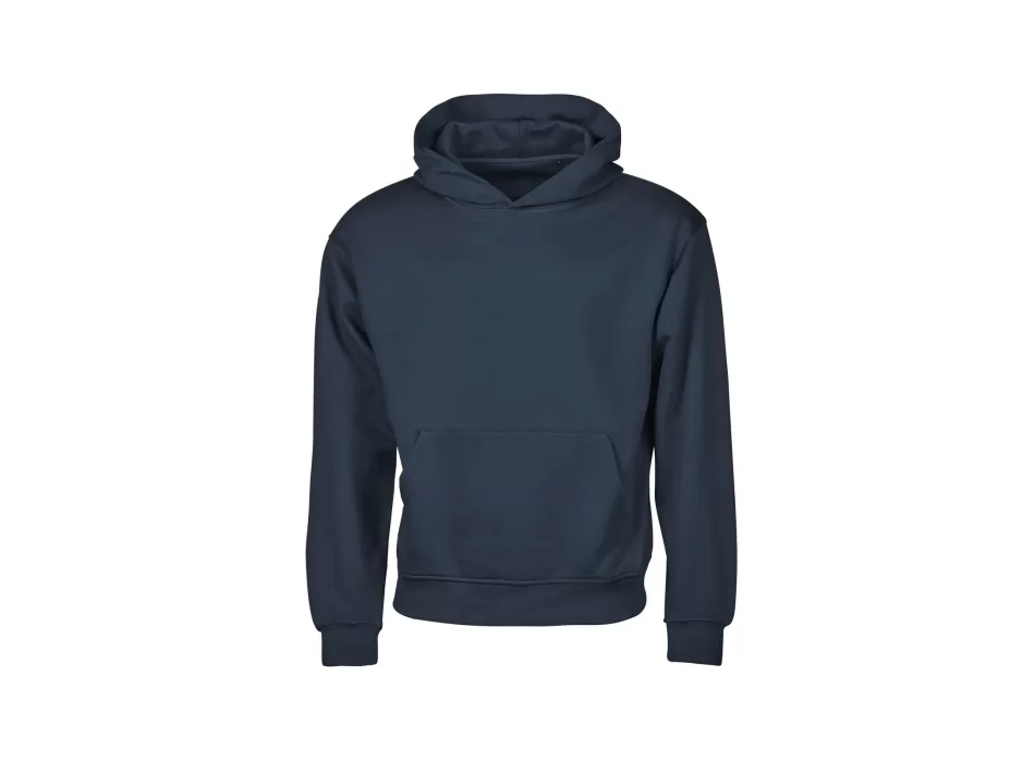Urban Heavy Loose Fit Hooded Sweatshirt FullGadgets.com