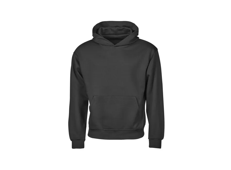 Urban Heavy Loose Fit Hooded Sweatshirt FullGadgets.com