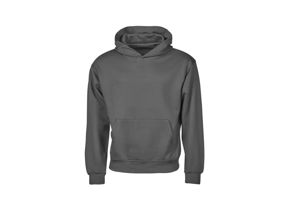 Urban Heavy Loose Fit Hooded Sweatshirt FullGadgets.com