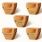 Vasetto in terracotta naturale con torba e capsula biodegradabile contenente semi FullGadgets.com