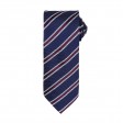 Waffle Stripe Tie 100%P FullGadgets.com