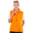 Womens Ice Bird Padded Gilet FullGadgets.com