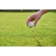 Wooden golf tees Nyssa FullGadgets.com