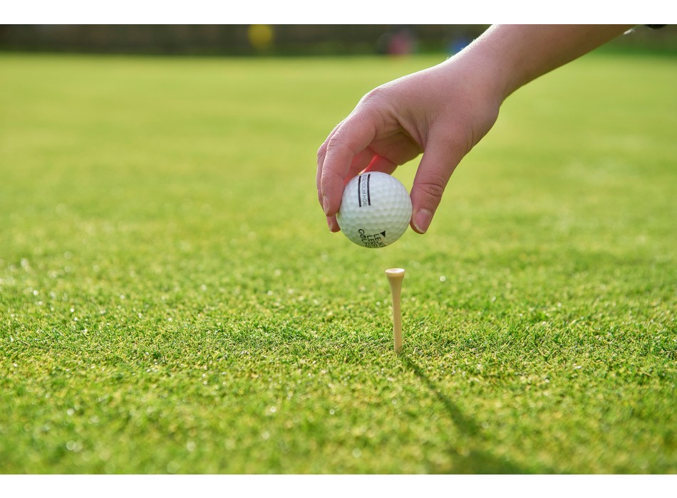 Wooden golf tees Nyssa FullGadgets.com