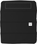 BACK SEGMENT