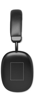 EAR LEFT DL