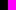 nero-Magenta
